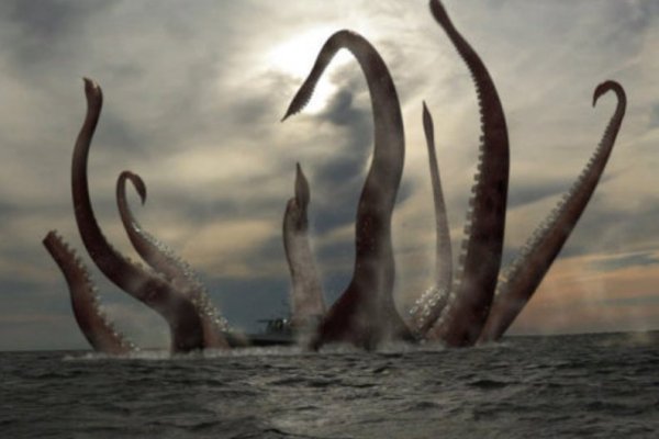 Kraken актуальные ссылки